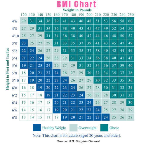 What S My Bmi Chart